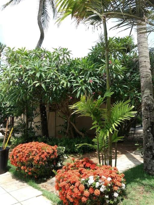Eco Paradise Cumbuco 131 מראה חיצוני תמונה